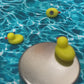 A Set of 4 Magnetic Ducks
